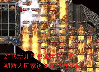 2018¿ְҵ棬ǰɢҸοٷ