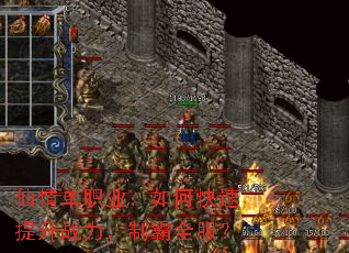 鵥ְҵοսưȫ
