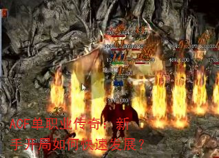 ACFְҵ棺ֿοٷչ
