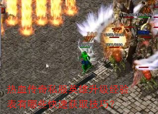 Ѫ˽ӢЩٻȡɣ