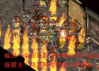 ڡȫµְҵδȫҹԽ
