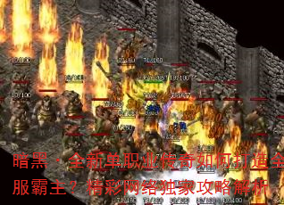 ڡȫµְҵδȫҹԽ