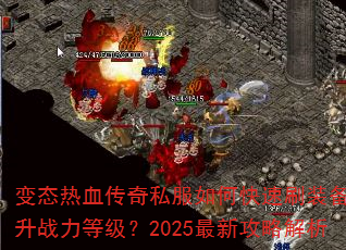 ̬Ѫ˽οˢװսȼ2025¹Խ