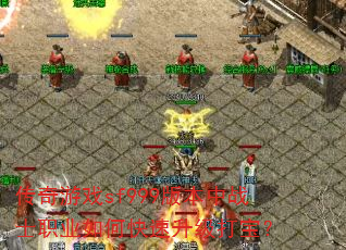 Ϸsf999汾սʿְҵο򱦣