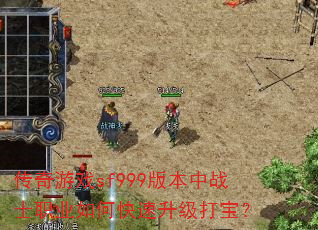 Ϸsf999汾սʿְҵο򱦣