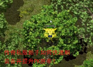 ˽οˢװPKʤʣ