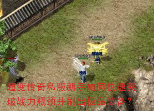 䴫˽οͻսƿˢƷװ