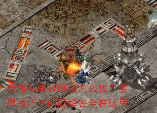 ˽sfվôңʵüȫ