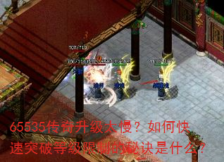 65535̫οͻƵȼƵؾʲô