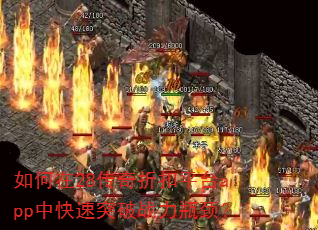 28ۿƽ̨appпͻսƿ