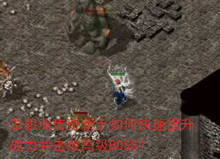 ְҵοսܸ߼BOSS