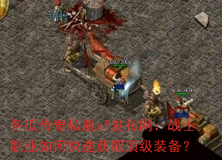 ϴ˽sfսʿְҵοٻȡװ