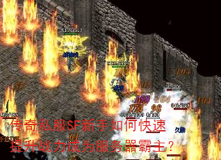 ˽SFοսΪ