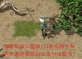 ˽113οٻȡװ뼼飿