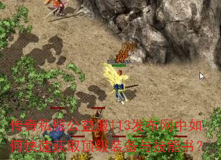 ˽113οٻȡװ뼼飿