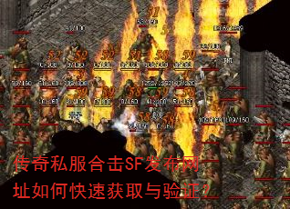 ˽ϻSFַοٻȡ֤