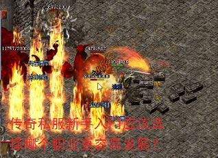 ˽Ӧѡĸְҵ׷չ