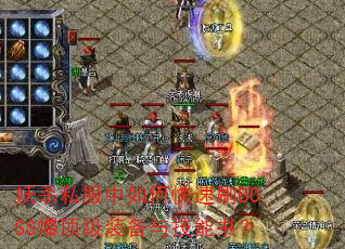 ɱ˽οˢBOSSװ뼼飿