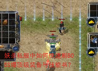 ɱ˽οˢBOSSװ뼼飿