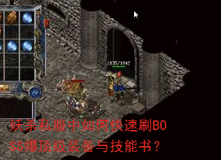 ɱ˽οˢBOSSװ뼼飿