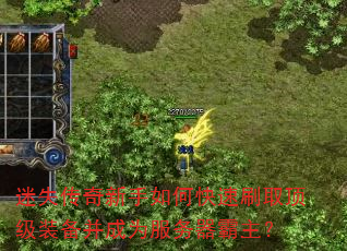 迷失传奇新手如何快速刷取顶级装备并成为服务器霸主? 迷失传奇新手如何快速刷取顶级装备并成为服务器霸主?