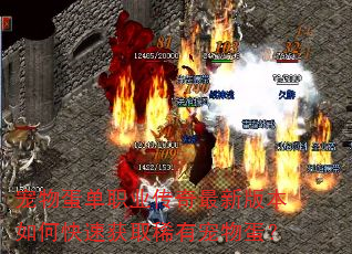 宠物蛋单职业传奇最新版本如何快速获取稀有宠物蛋? 宠物蛋单职业传奇最新版本如何快速获取稀有宠物蛋?