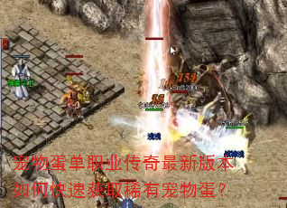 宠物蛋单职业传奇最新版本如何快速获取稀有宠物蛋? 宠物蛋单职业传奇最新版本如何快速获取稀有宠物蛋?