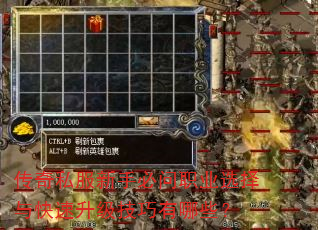 传奇私服新手必问职业选择与快速升级技巧有哪些? 传奇私服新手必问职业选择与快速升级技巧有哪些?