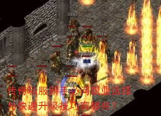 传奇私服新手必问职业选择与快速升级技巧有哪些? 传奇私服新手必问职业选择与快速升级技巧有哪些?