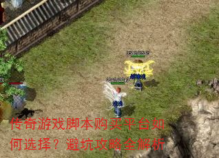 Ϸűƽ̨ѡ񣿱ܿӹȫ