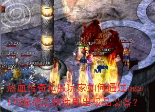 热血传奇私服玩家如何通过nga178数据库快速刷出极品装备? 热血传奇私服玩家如何通过nga178数据库快速刷出极品装备?