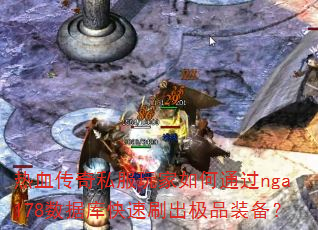 热血传奇私服玩家如何通过nga178数据库快速刷出极品装备? 热血传奇私服玩家如何通过nga178数据库快速刷出极品装备?