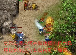 变态法师如何高效速成?传奇私服技能加点与装备搭配全解析 变态法师如何高效速成?传奇私服技能加点与装备搭配全解析