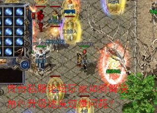 传奇私服论坛玩家如何解决角色升级速度过慢问题? 传奇私服论坛玩家如何解决角色升级速度过慢问题?