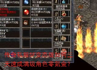 传奇私服SF变态版如何三天速成满级角色零氪金? 传奇私服SF变态版如何三天速成满级角色零氪金?