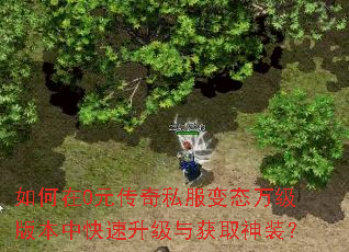 0Ԫ˽̬򼶰汾пȡװ