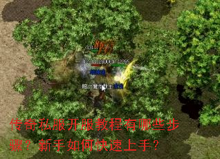 传奇私服开服教程有哪些步骤?新手如何快速上手? 传奇私服开服教程有哪些步骤?新手如何快速上手?