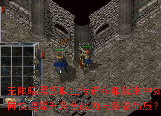 无限暗黑多职业传奇私服版本中如何快速提升角色战力与装备品质? 无限暗黑多职业传奇私服版本中如何快速提升角色战力与装备品质?